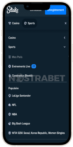 Application de stake.com Canada